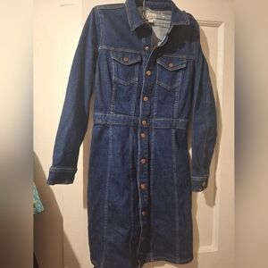J Crew Denim Dress